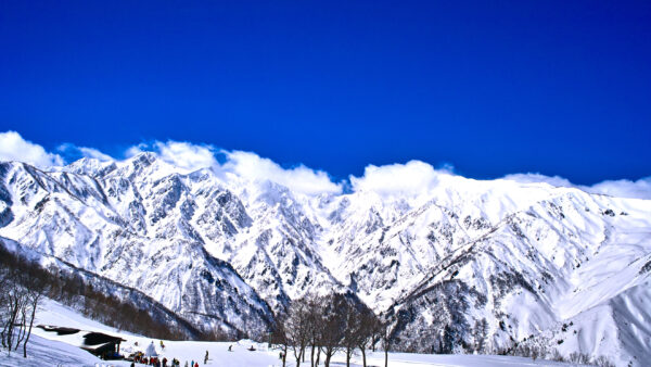 国内のお客様限定｜リフト1日券・2日券付き素泊まりプラン販売開始のお知らせ